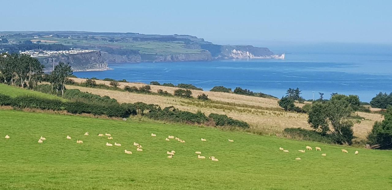 Maghernahar House B&B Ballycastle Esterno foto
