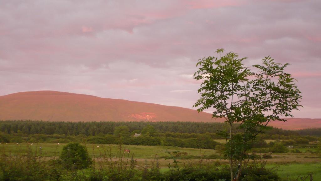 Maghernahar House B&B Ballycastle Esterno foto