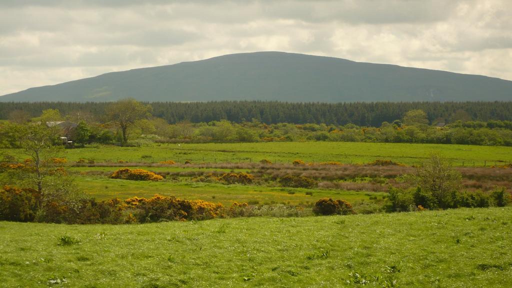 Maghernahar House B&B Ballycastle Esterno foto